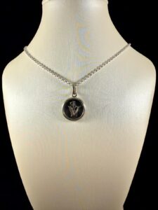 Medalla Veterinario.